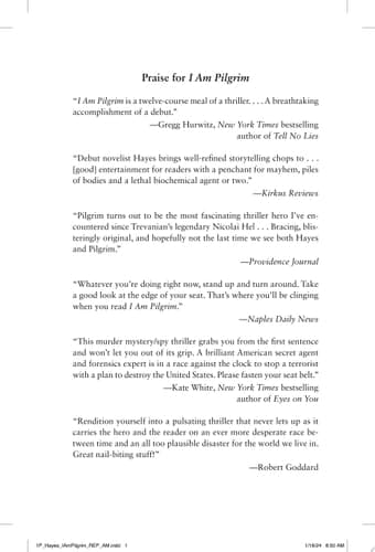 I Am Pilgrim: A Thriller