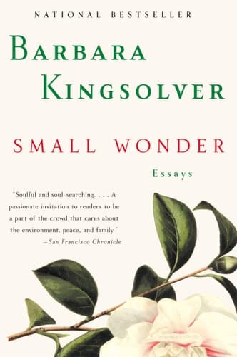 Small Wonder Essays
