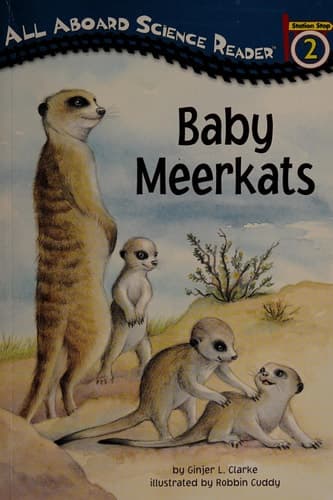 Baby Meerkats