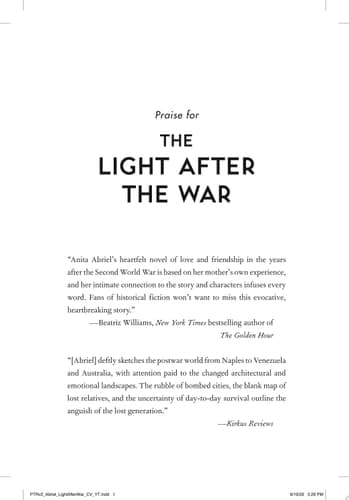 Light After the War A Novel