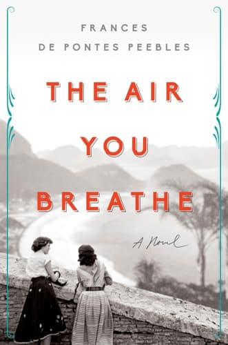 The Air You Breathe: A Novel