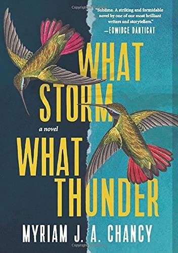 What Storm, What Thunder A Novel