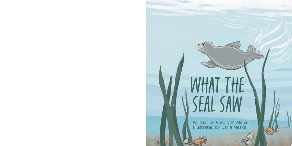 What The Seal Saw