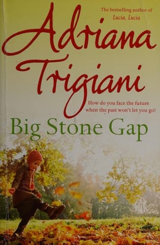 Big Stone Gap A Novel