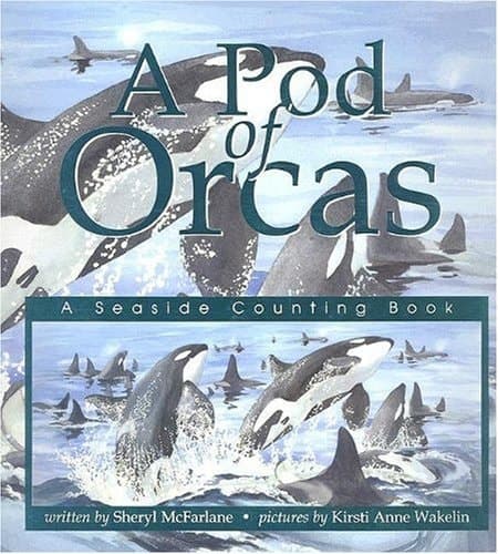 A Pod of Orcas