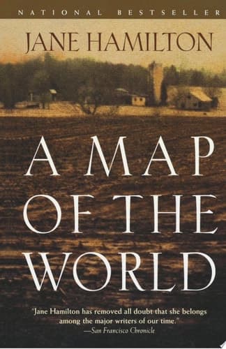A Map of the World A Novel