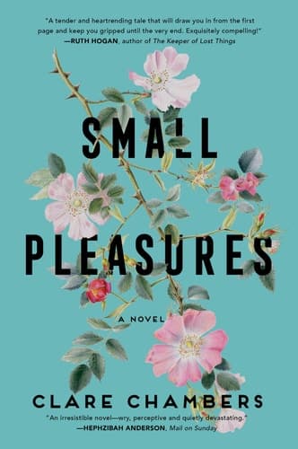 Small Pleasures A Novel