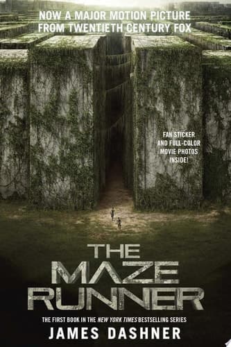 The Maze Runner