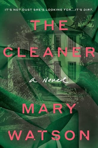 The Cleaner A Novel
