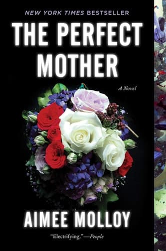 The Perfect Mother A Novel